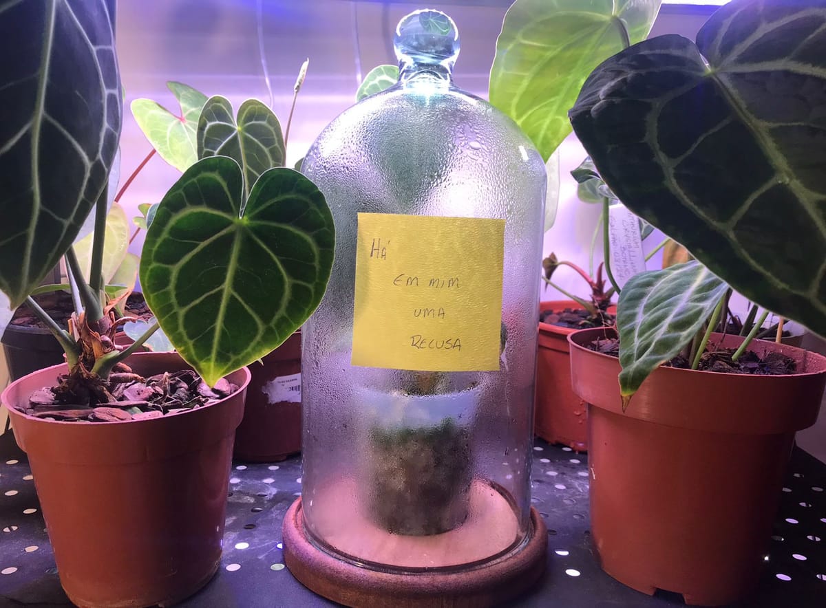 há em mim uma recusa